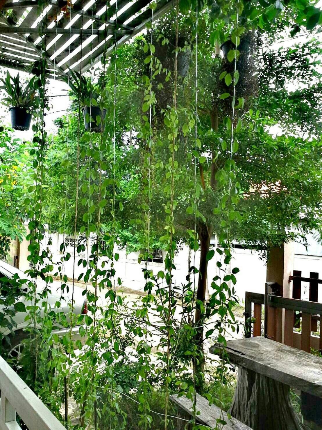 Lampang Lanna Home Eksteriør billede