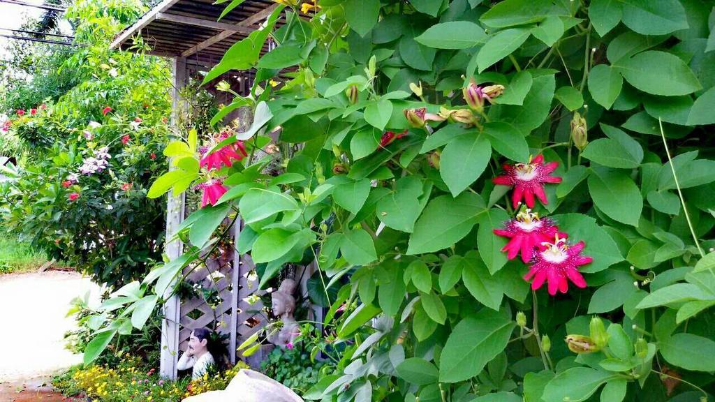 Lampang Lanna Home Eksteriør billede